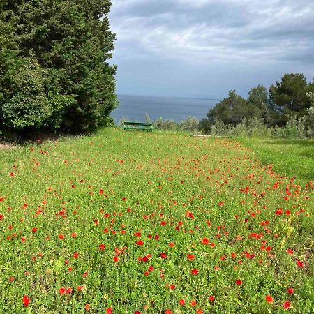 Istrian Green House Πορτορόζ Εξωτερικό φωτογραφία