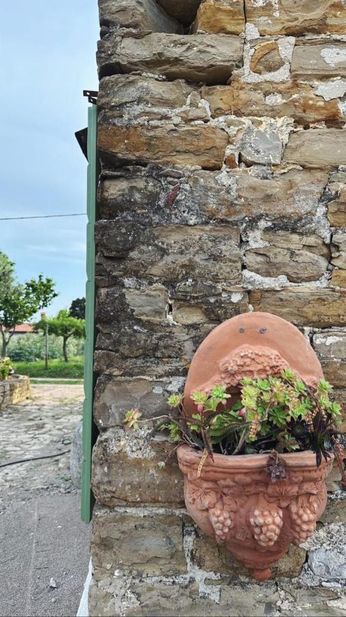Istrian Green House Πορτορόζ Εξωτερικό φωτογραφία