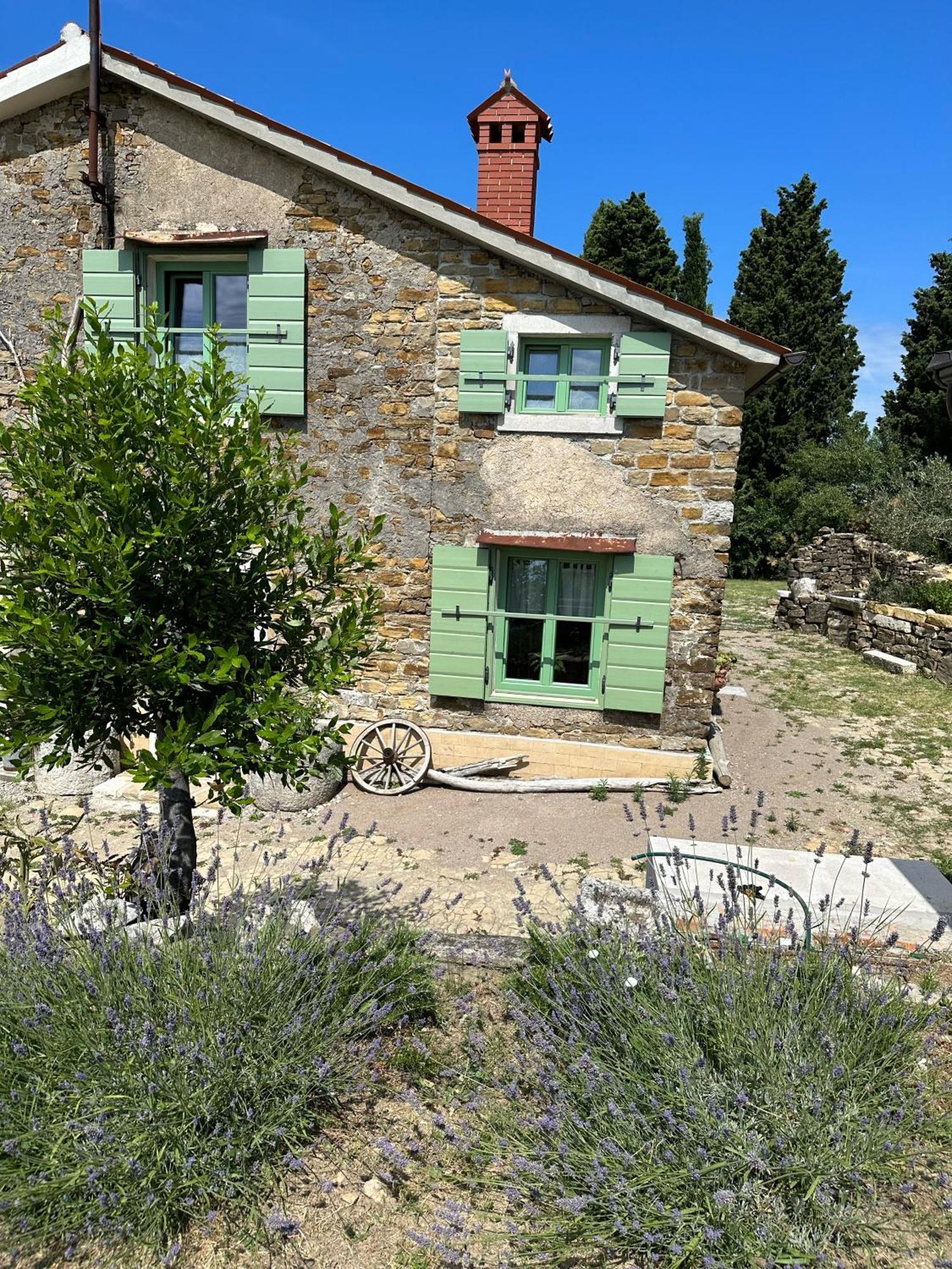 Istrian Green House Πορτορόζ Εξωτερικό φωτογραφία