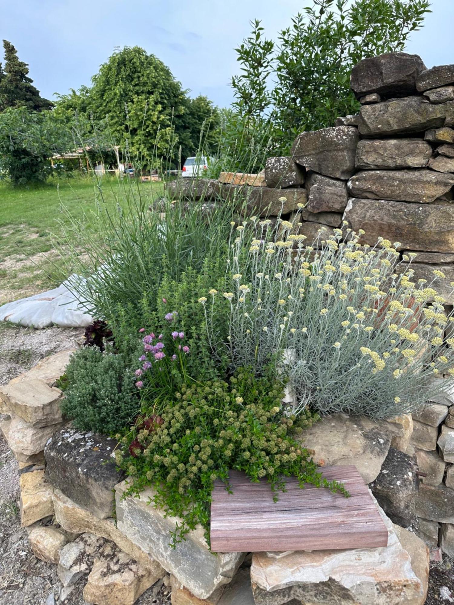 Istrian Green House Πορτορόζ Εξωτερικό φωτογραφία