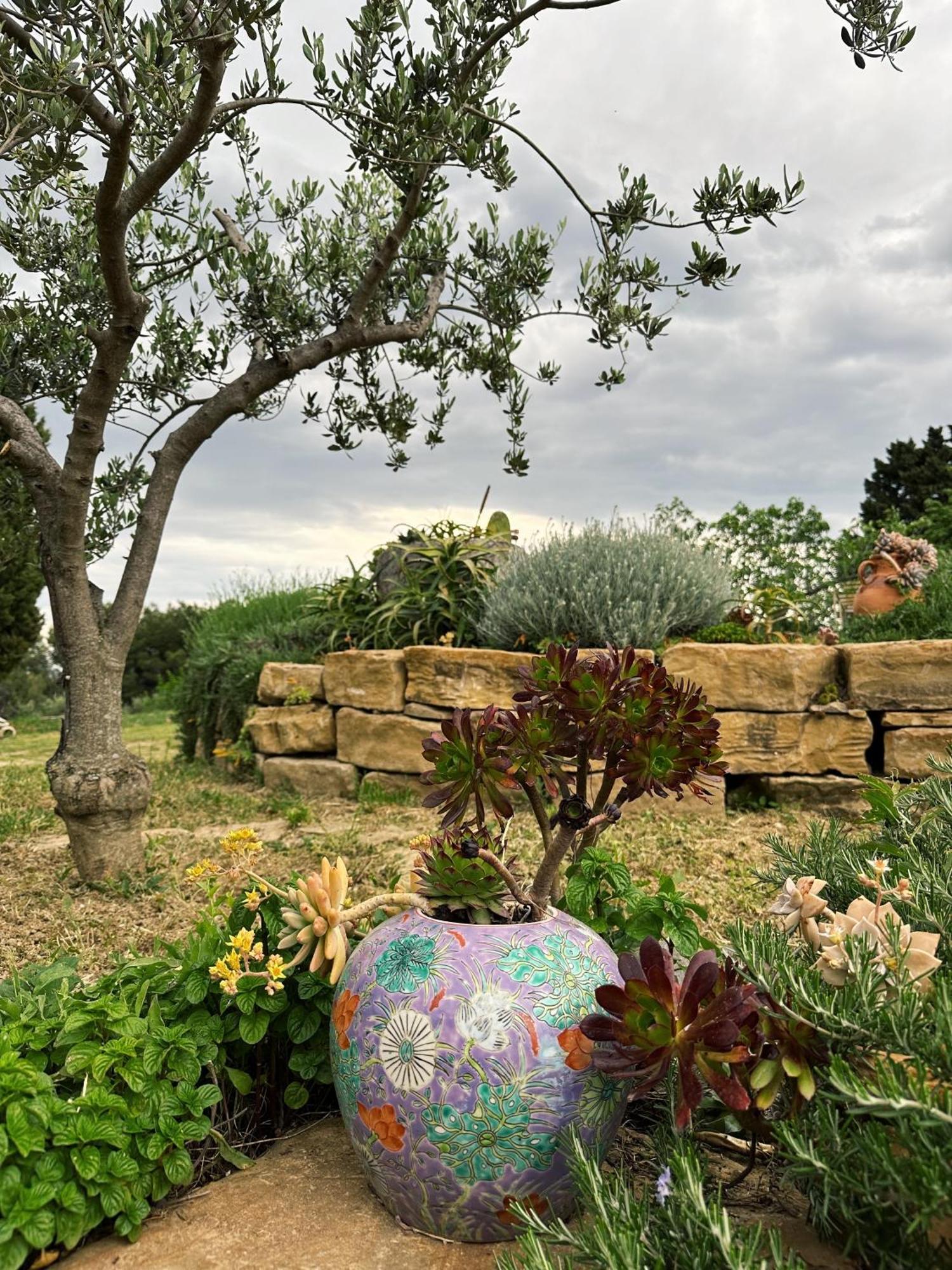 Istrian Green House Πορτορόζ Εξωτερικό φωτογραφία
